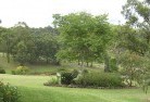 Tresco Westresidential-landscaping-40.jpg; ?>